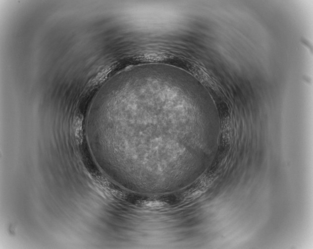 X0000093370360200710251159