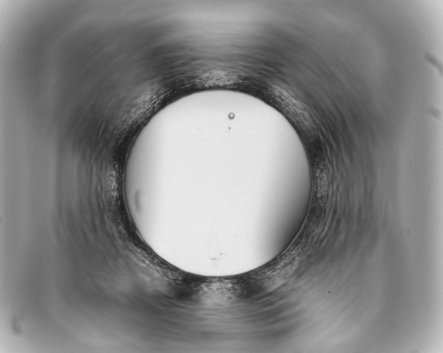 X0000093370362200710251159