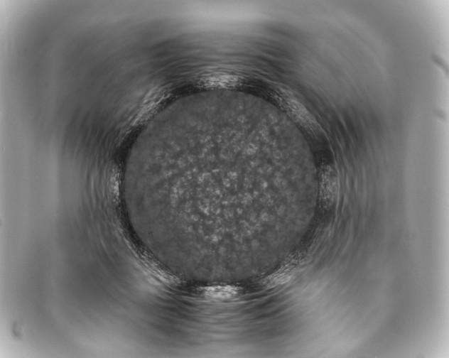 X0000093370363200710251159