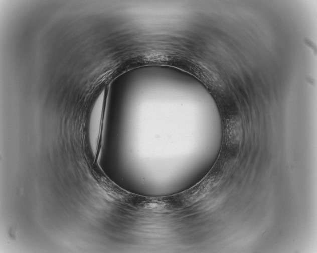 X0000093370364200710251159