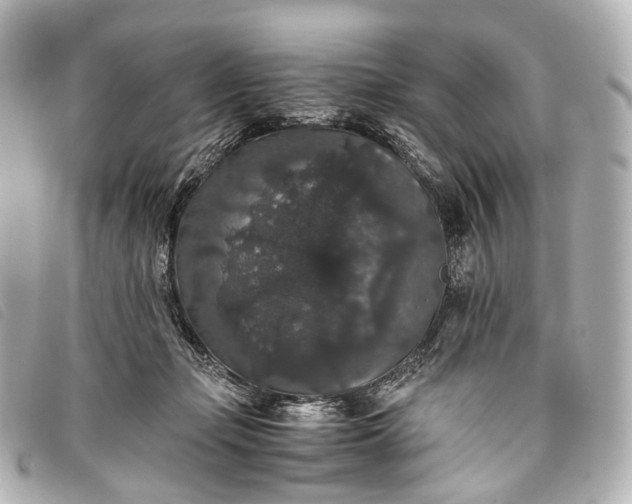 X0000093370365200710251159