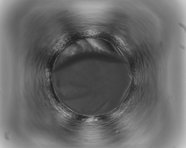 X0000093370366200710251159