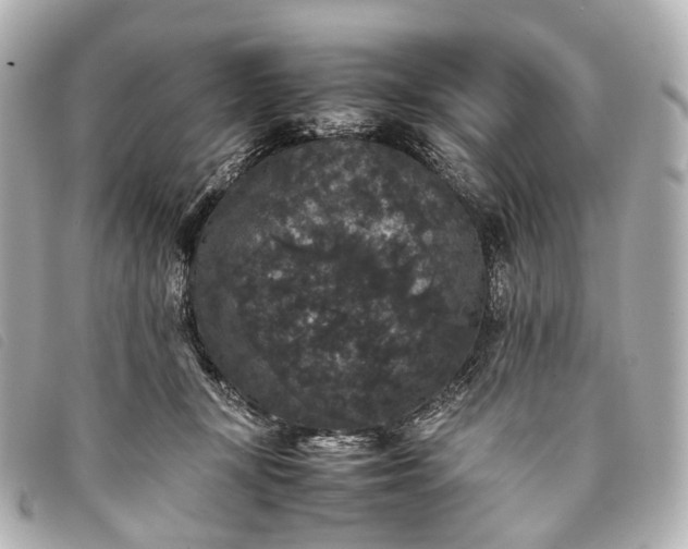 X0000093370367200710251159