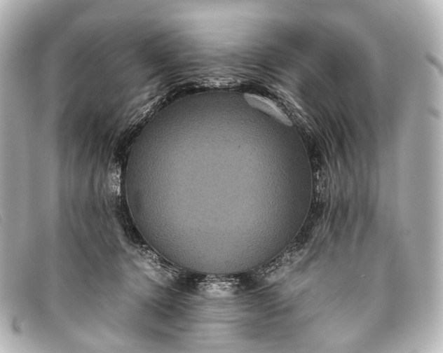 X0000093370368200710251159