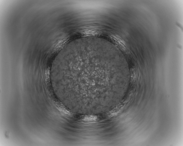 X0000093370369200710251159