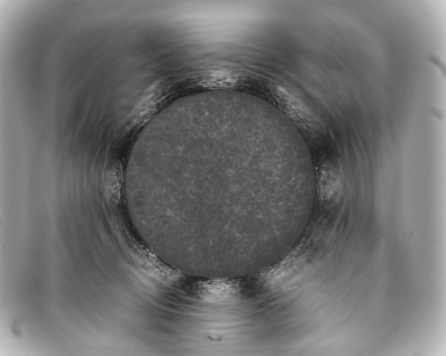 X0000093370370200710251159