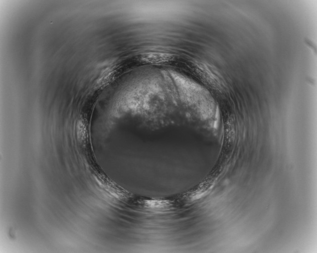 X0000093370371200710251159