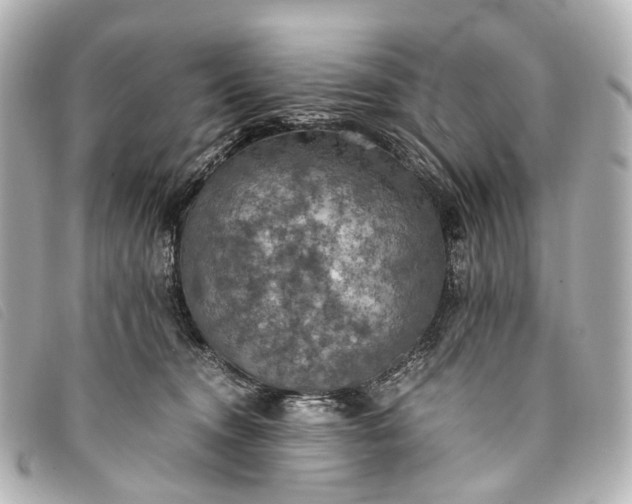 X0000093370372200710251159