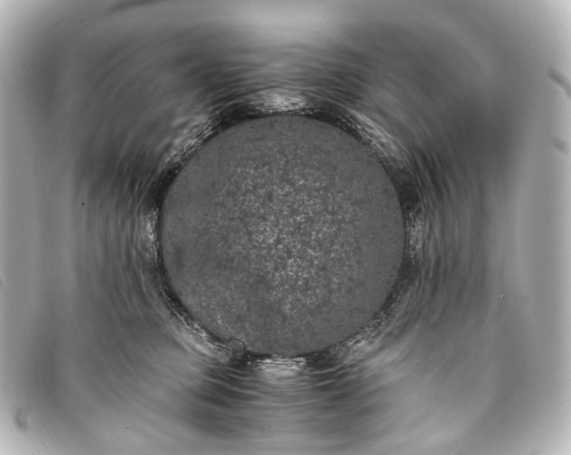 X0000093370373200710251159