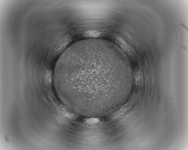 X0000093370374200710251159