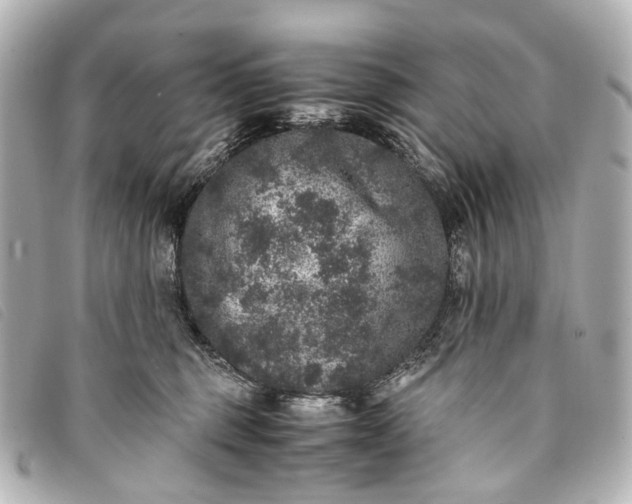 X0000093370375200710251159