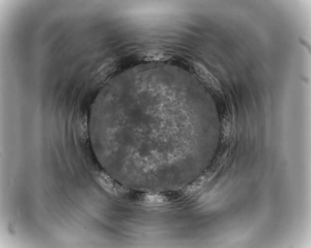 X0000093370376200710251159