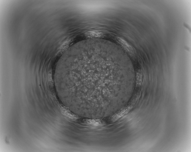 X0000093370377200710251159