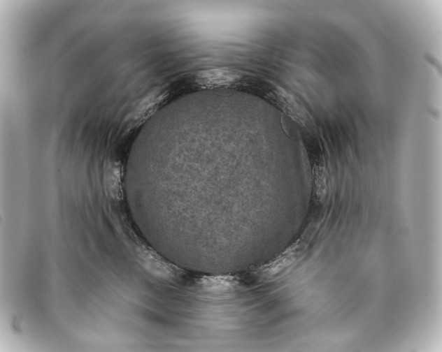 X0000093370378200710251159