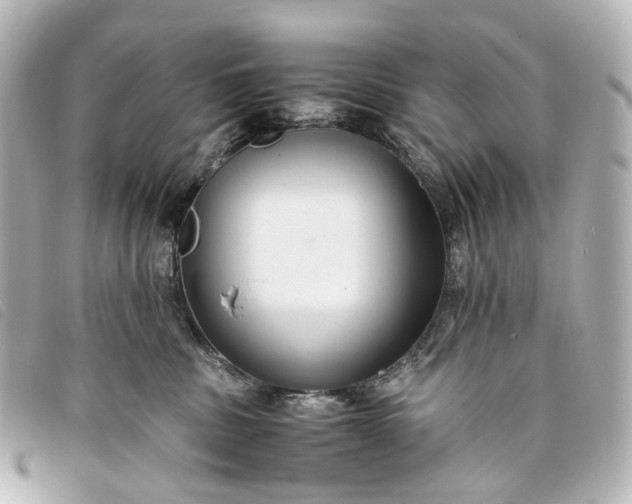 X0000093370379200710251159