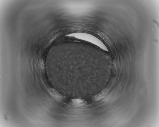 X0000093370380200710251159