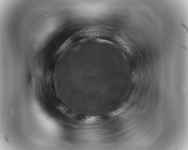 X0000093370382200710251159