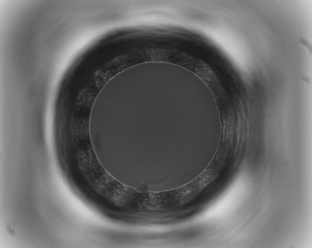 X0000093370383200710251159