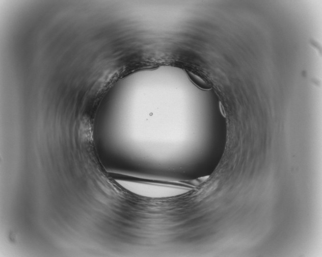 X0000093370384200710251159