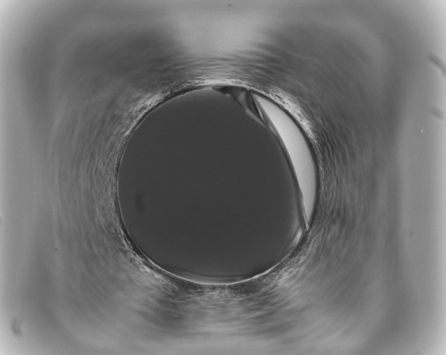 X0000093370385200710251159