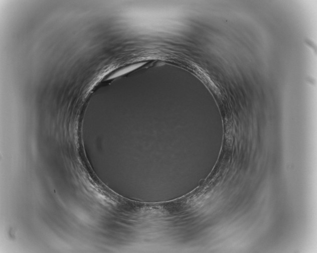 X0000093370386200710251159