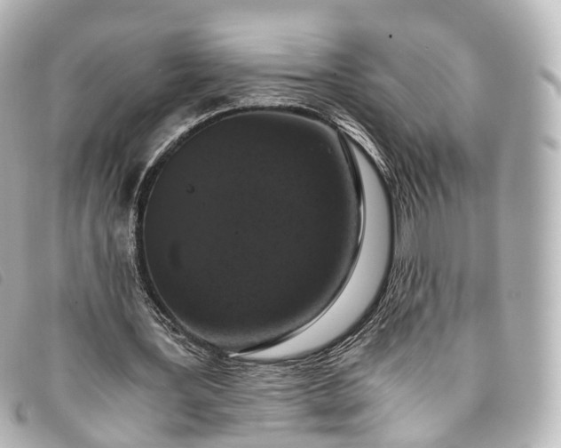 X0000093370387200710251158