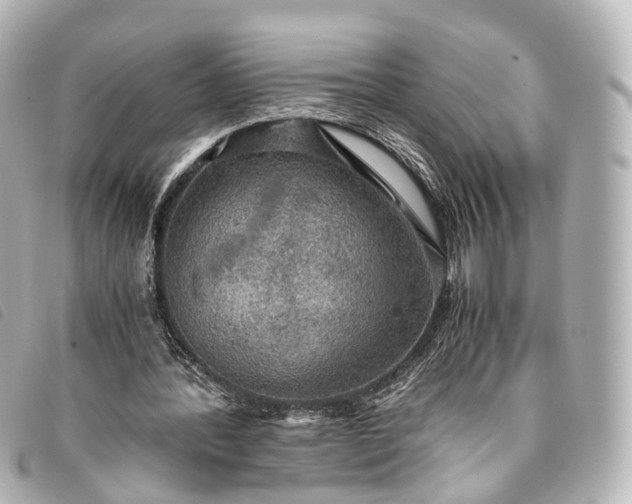 X0000093370388200710251158