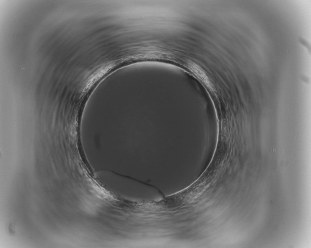 X0000093370389200710251158