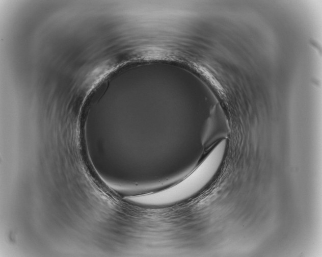 X0000093370391200710251158