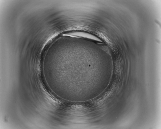 X0000093370392200710251158