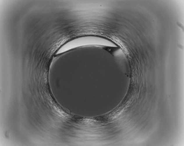 X0000093370393200710251158