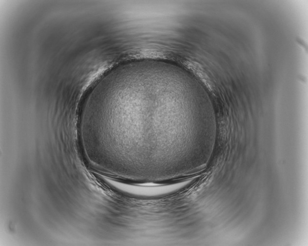 X0000093370395200710251158