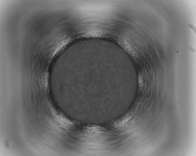 X0000093370396200710251158