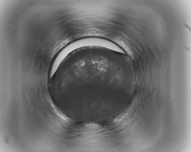 X0000093370397200710251158