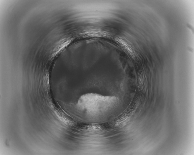 X0000093370398200710251158