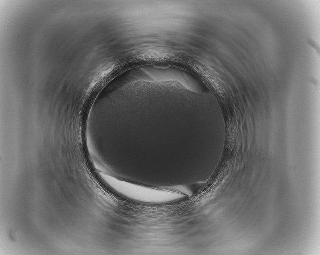 X0000093370399200710251158