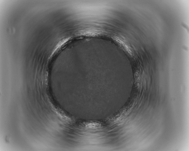 X0000093370400200710251158