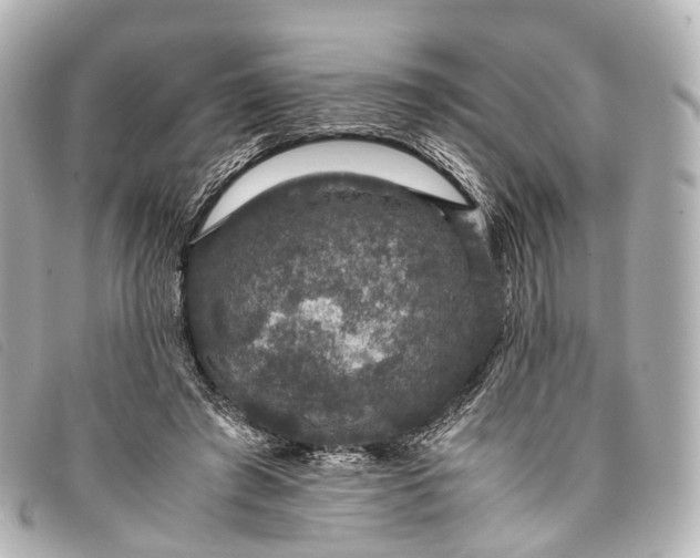 X0000093370401200710251158