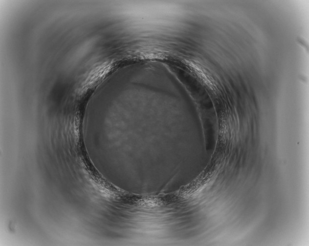 X0000093370402200710251158