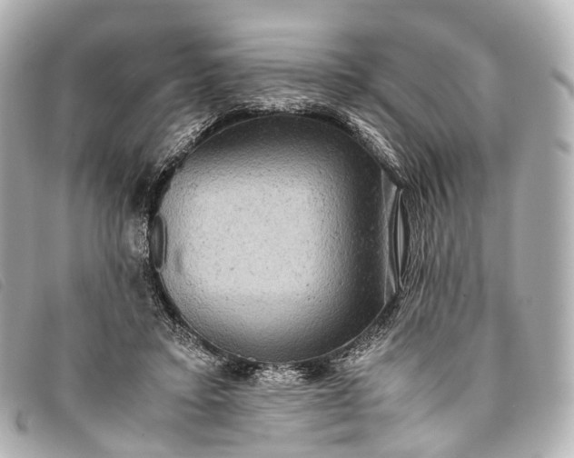 X0000093370403200710251158