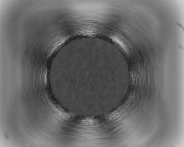 X0000093370404200710251158