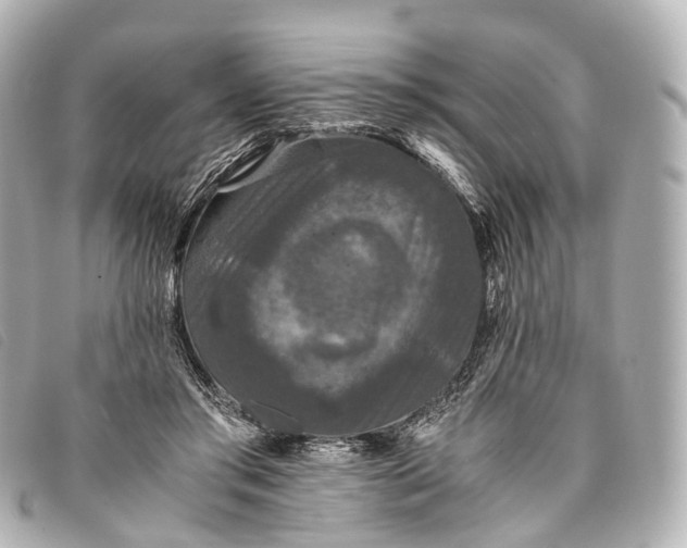 X0000093370405200710251158