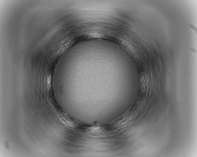 X0000093370406200710251158