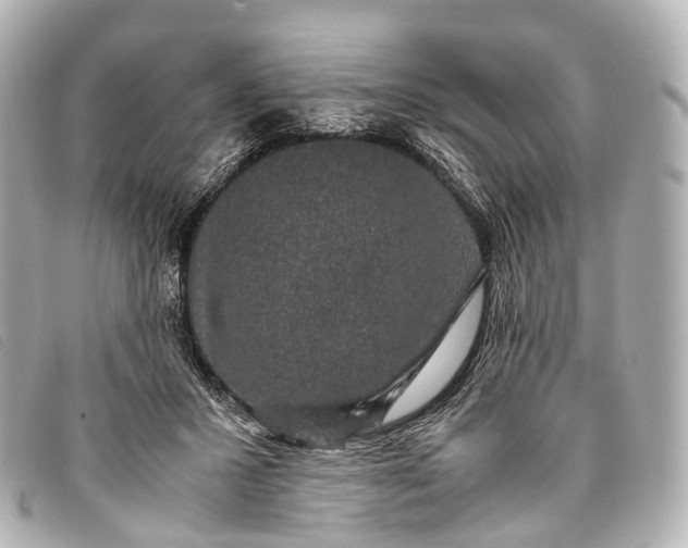 X0000093370407200710251158