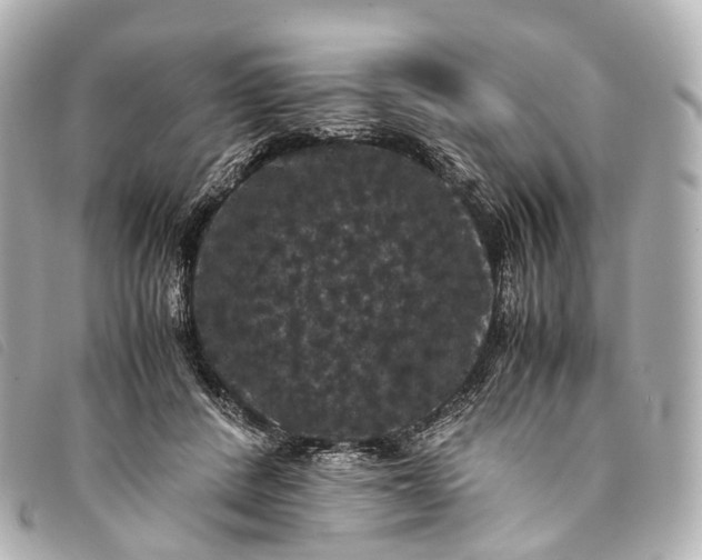 X0000093370408200710251158