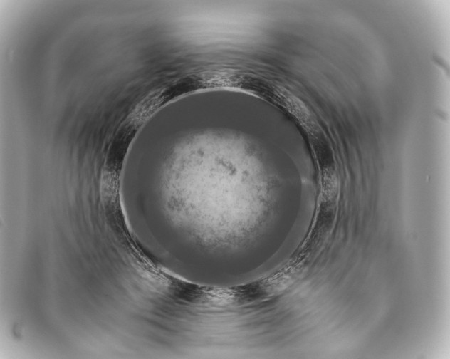 X0000093370409200710251158