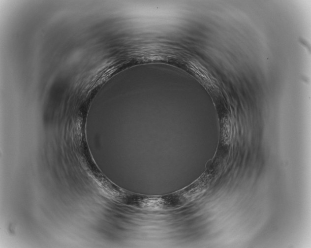 X0000093370410200710251158