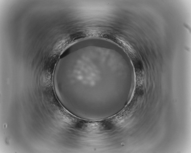 X0000093370411200710251158