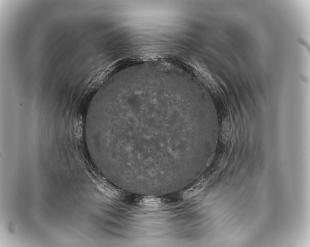 X0000093370413200710251158