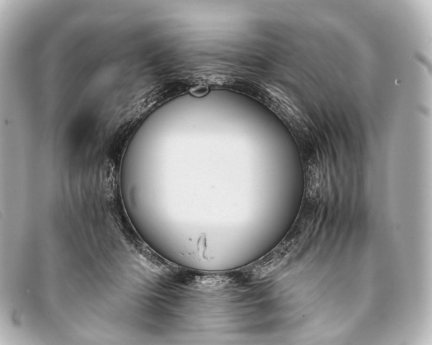 X0000093370414200710251158